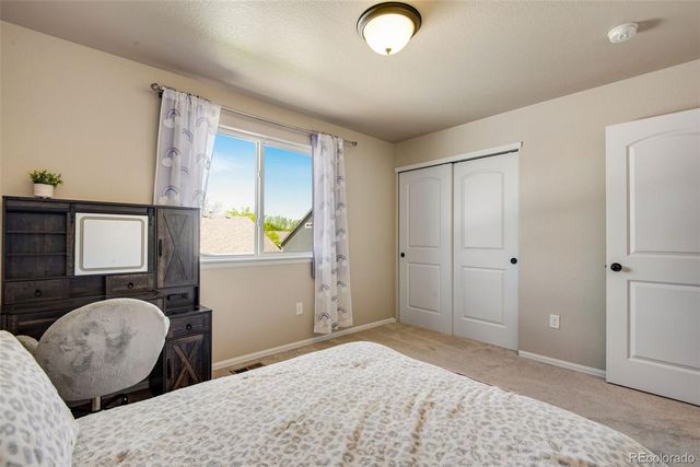 7035 McClellan Road, Wellington, CO 80549