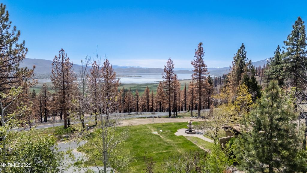 7451 Granite Ridge Court, Washoe Valley, NV 89704