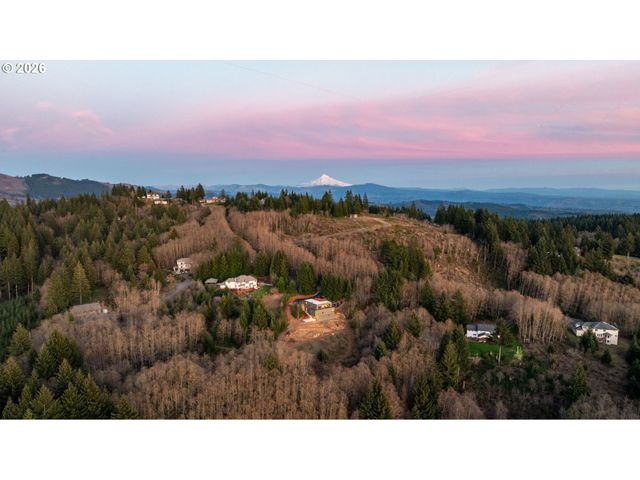 30108 Ne SPUD MT Rd, Camas, WA 98607