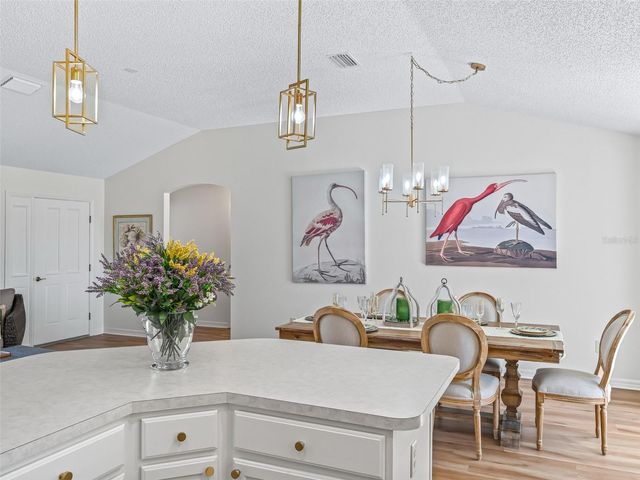 1564 OAK FOREST DRIVE, The Villages, FL 32162