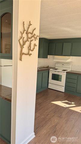 206 E Rain Street NE, Ocean Shores, WA 98569