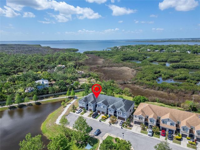 8108 MUDDY PINES PLACE 8108, Tampa, FL 33635