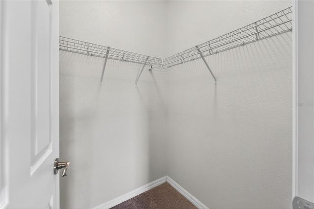 8108 MUDDY PINES PLACE 8108, Tampa, FL 33635