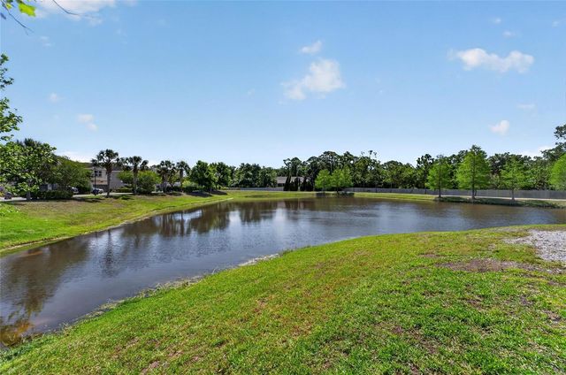 8108 MUDDY PINES PLACE 8108, Tampa, FL 33635