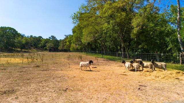 1146 SISTERDALE RD, Boerne, TX 78006