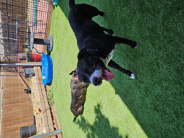 4406 S Roberts Street, Amarillo, TX 79118