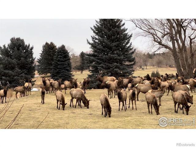 684 Deer Meadow Drive, Loveland, CO 80537