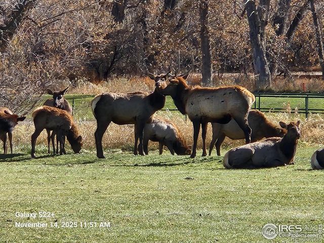 684 Deer Meadow Drive, Loveland, CO 80537