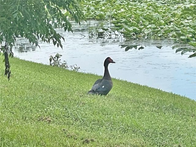 145 N PEARL LAKE CAUSEWAY 112, Altamonte Springs, FL 32714