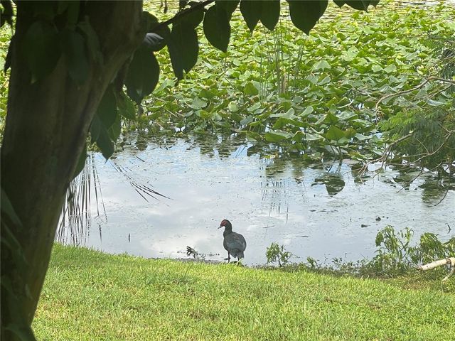 145 N PEARL LAKE CAUSEWAY 112, Altamonte Springs, FL 32714