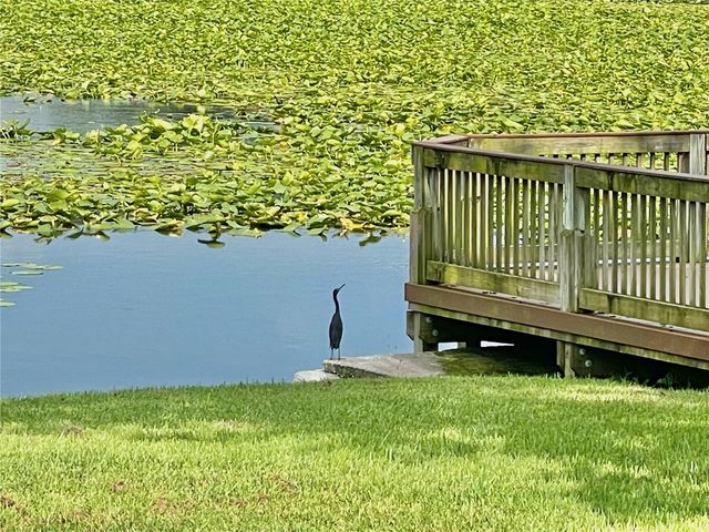 145 N PEARL LAKE CAUSEWAY 112, Altamonte Springs, FL 32714