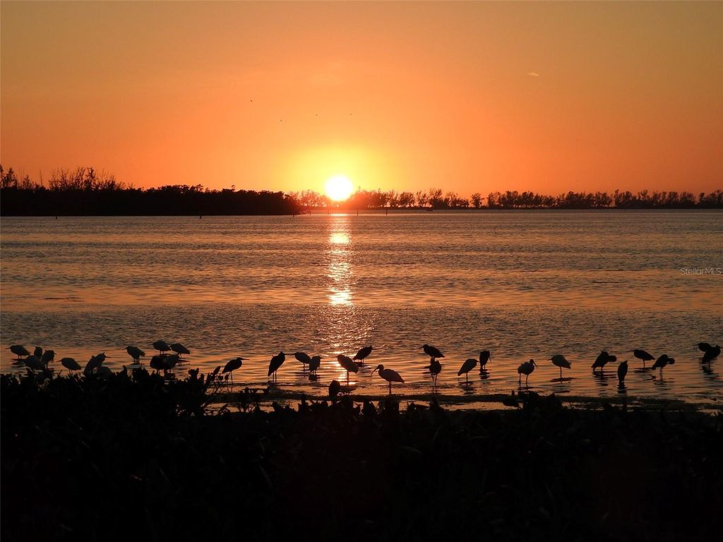 Image 72 of property listing at 9505 COLONIAL DRIVE, Bradenton, FL 34210