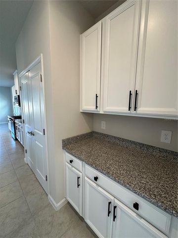 3785 BLUE MOUNTAIN WAY, Apopka, FL 32712