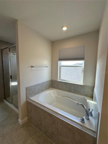 3785 BLUE MOUNTAIN WAY, Apopka, FL 32712