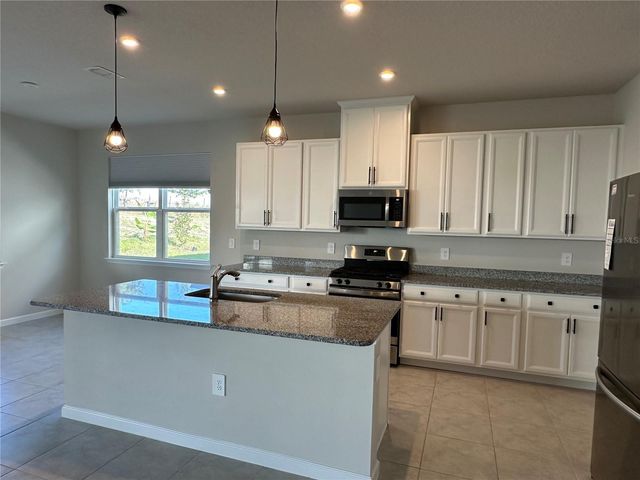 3785 BLUE MOUNTAIN WAY, Apopka, FL 32712