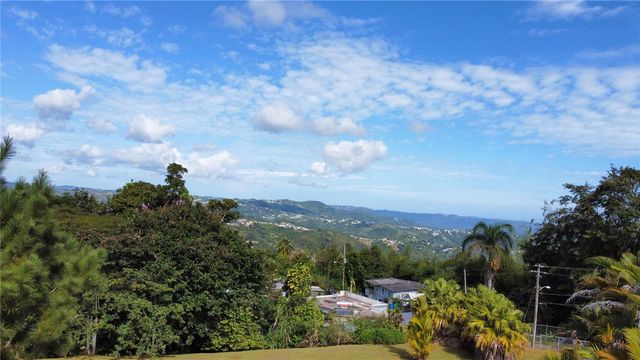 CARR 1 K48 H1 INT BO BEATRIZ LAS PIÑAS, Caguas, PR 00725