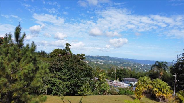 CARR 1 K48 H1 INT BO BEATRIZ LAS PIÑAS, Caguas, PR 00725