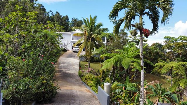 CARR 1 K48 H1 INT BO BEATRIZ LAS PIÑAS, Caguas, PR 00725