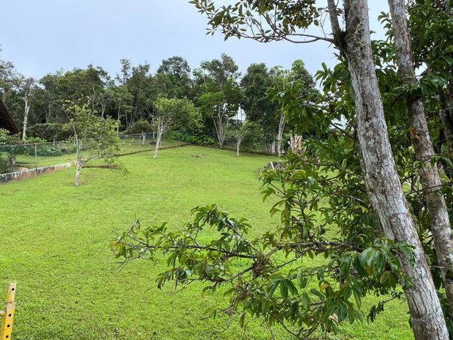 CARR 1 K48 H1 INT BO BEATRIZ LAS PIÑAS, Caguas, PR 00725