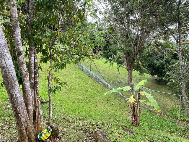 CARR 1 K48 H1 INT BO BEATRIZ LAS PIÑAS, Caguas, PR 00725