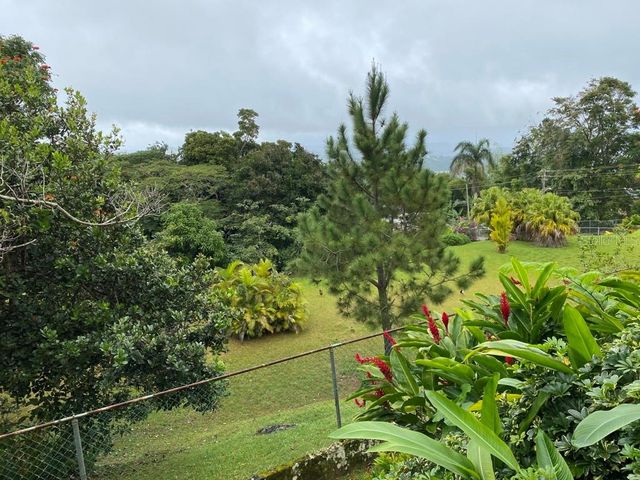 CARR 1 K48 H1 INT BO BEATRIZ LAS PIÑAS, Caguas, PR 00725