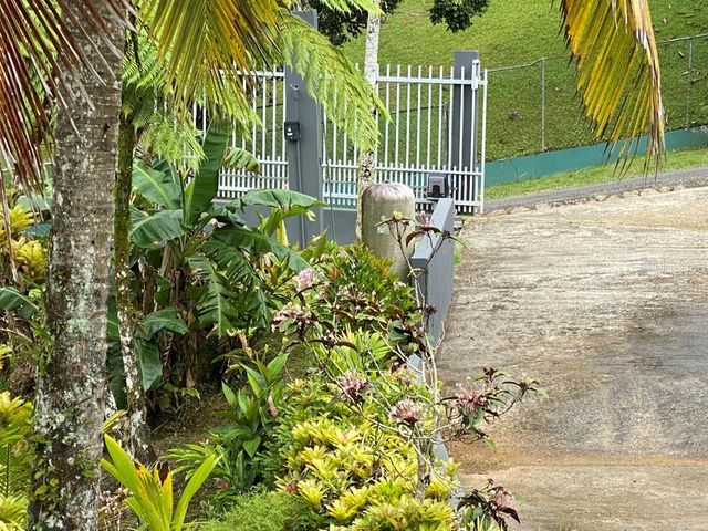 CARR 1 K48 H1 INT BO BEATRIZ LAS PIÑAS, Caguas, PR 00725