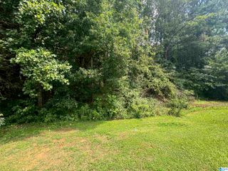 6239 SPRING HOLLOW ROAD, Gardendale, AL 35071