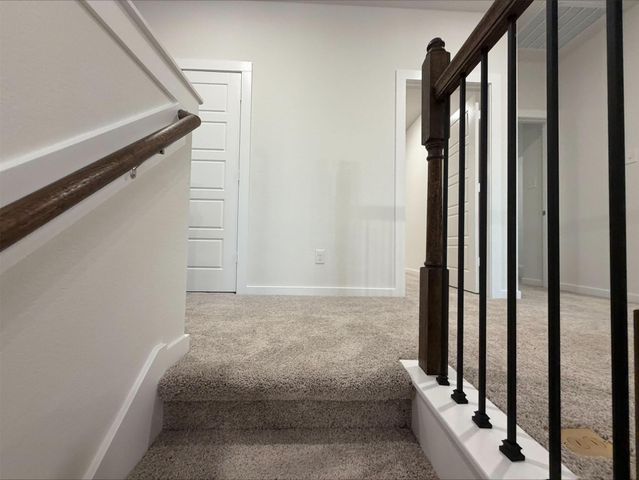 3709 Violet Lane, Huntsville, TX 77340