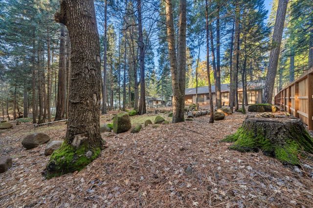 30821 Tinkerbell Lane, Shingletown, CA 96088