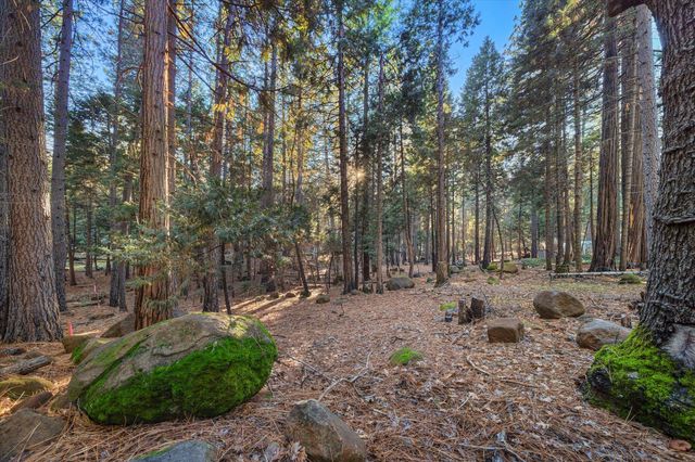 30821 Tinkerbell Lane, Shingletown, CA 96088