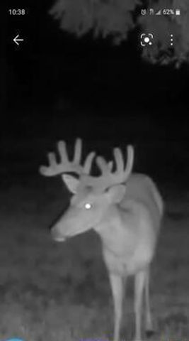 12624 US Highway 212, Sacred Heart, MN 56285