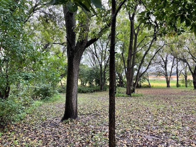 12624 US Highway 212, Sacred Heart, MN 56285