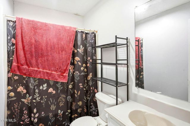 8703 Highway 19e, Roan Mountain, TN 37687