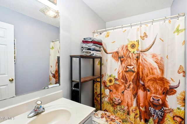 8703 Highway 19e, Roan Mountain, TN 37687