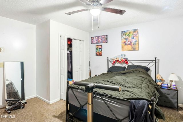 8703 Highway 19e, Roan Mountain, TN 37687