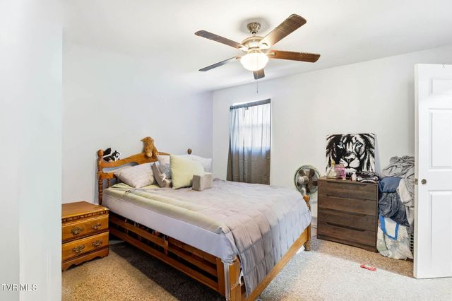 8703 Highway 19e, Roan Mountain, TN 37687