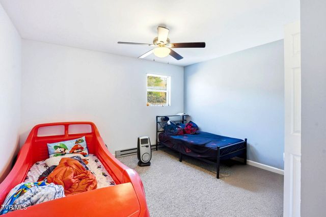 8703 Highway 19e, Roan Mountain, TN 37687