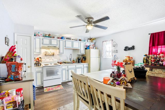 8703 Highway 19e, Roan Mountain, TN 37687