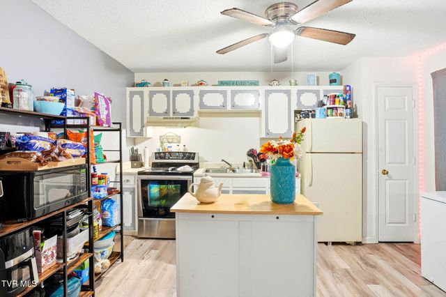 8703 Highway 19e, Roan Mountain, TN 37687