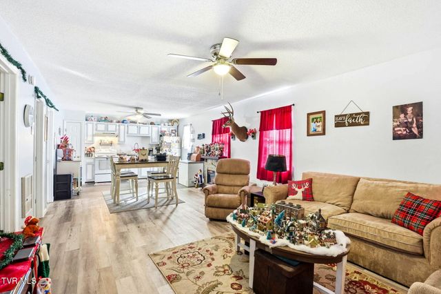 8703 Highway 19e, Roan Mountain, TN 37687