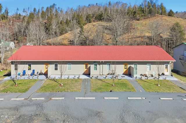 8703 Highway 19e, Roan Mountain, TN 37687