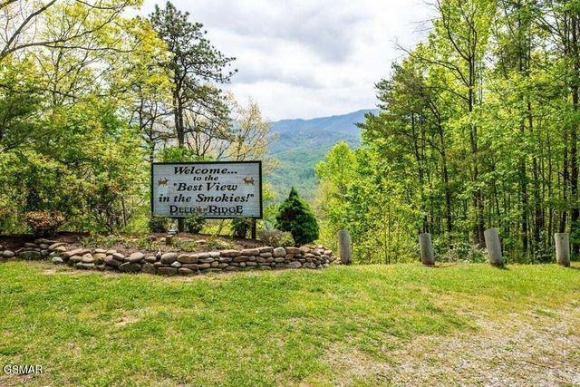 3710 Weber Road, Gatlinburg, TN 37738