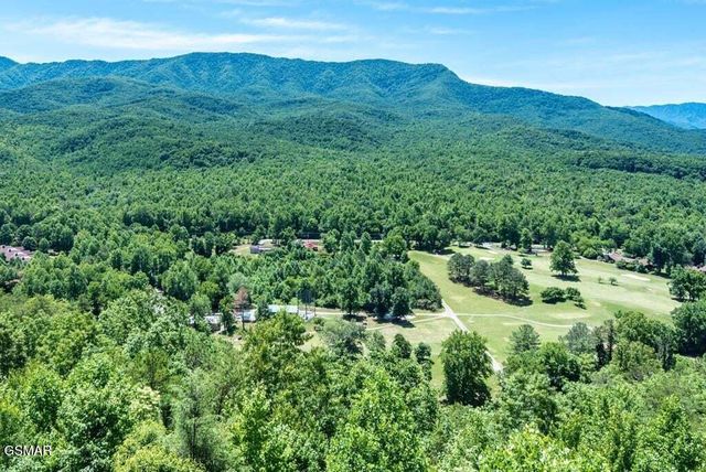 3710 Weber Road, Gatlinburg, TN 37738