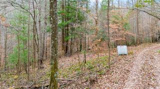 Lot 21 Lacey Lane, Campton, KY 41301
