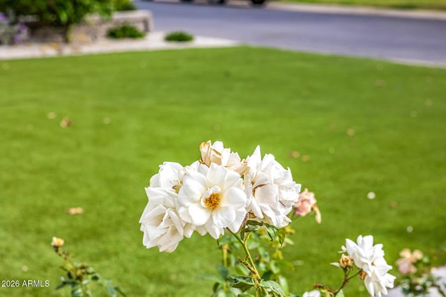 4010 E COOLIDGE Street, Phoenix, AZ 85018