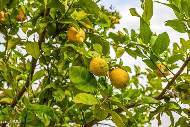 4010 E COOLIDGE Street, Phoenix, AZ 85018