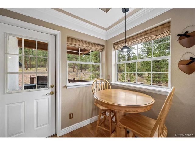 410 Spring Dr, Pine, CO 80470