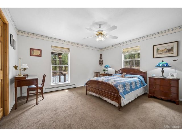 410 Spring Dr, Pine, CO 80470