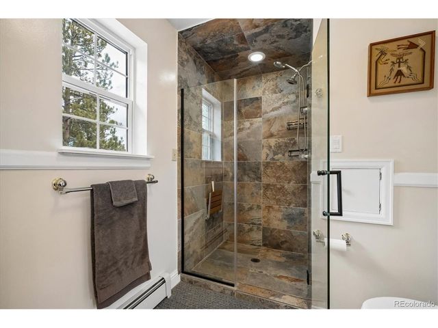 410 Spring Dr, Pine, CO 80470