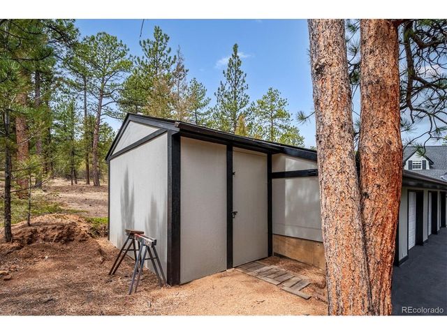 410 Spring Dr, Pine, CO 80470